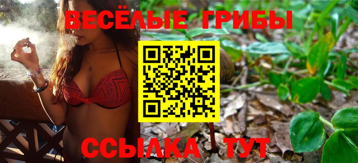 Псилоцибиновые грибы MAGIC MUSHROOMS Артём