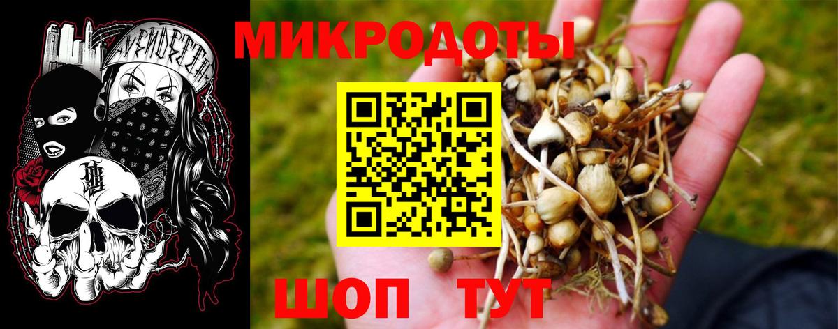 Галлюциногенные грибы GOLDEN TEACHER  Вход с VPN  Артём 
